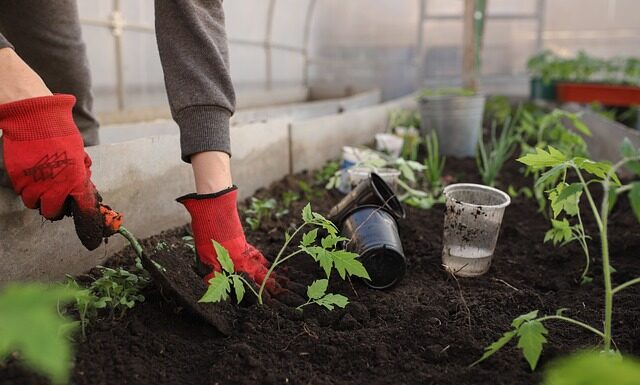 Dlaczego nie można mieć łóżka na przeciwko lustra?