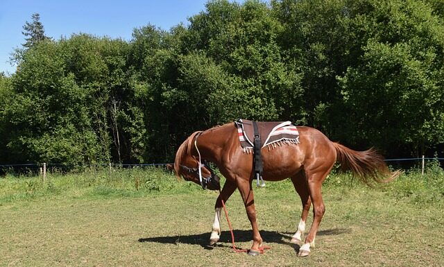 Jak zamontować lustro w płytkach?