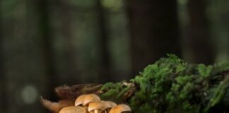 Po co listwy dylatacyjne?