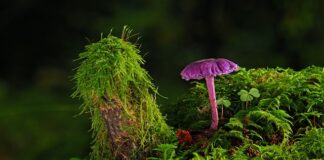 Jak usunąć farbę drogowa?