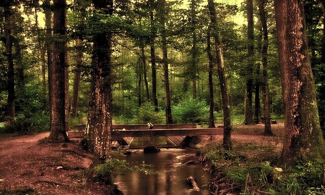 Na czym powiesić duże lustro?