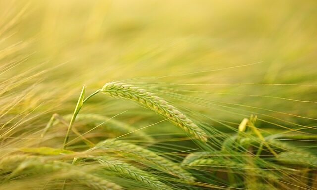 Jak Przyciąć listwę pod kątem 90 stopni?