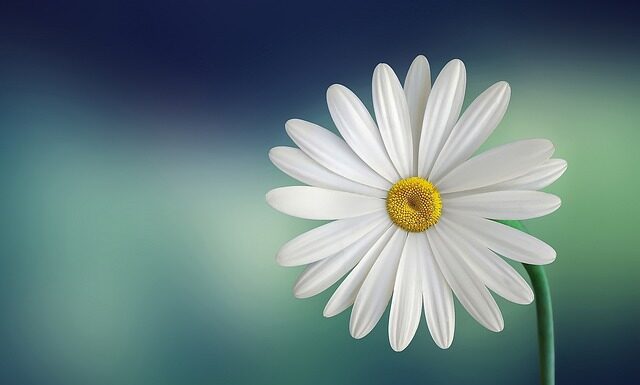 Kiedy biały montaż?