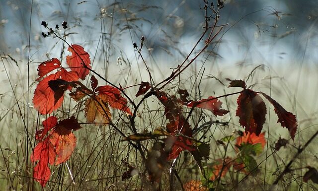 Co jest mniejsze A5 czy B5?