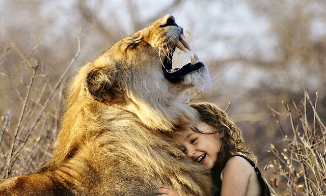 W czym Audi jest lepsze od BMW?