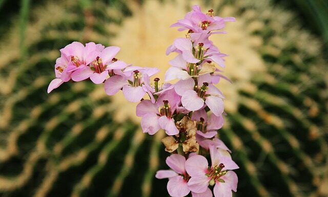 Jaki kolor to kolor smutku?