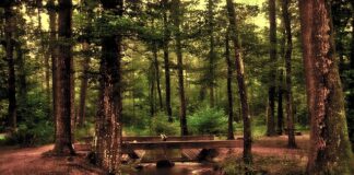 Po czym poznać że lustro jest kryształowe? Po czym poznać że lustro jest kryształowe?