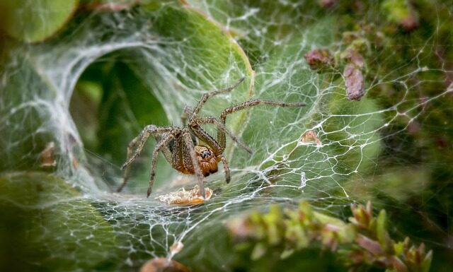 Jak używać lejka do sikania?