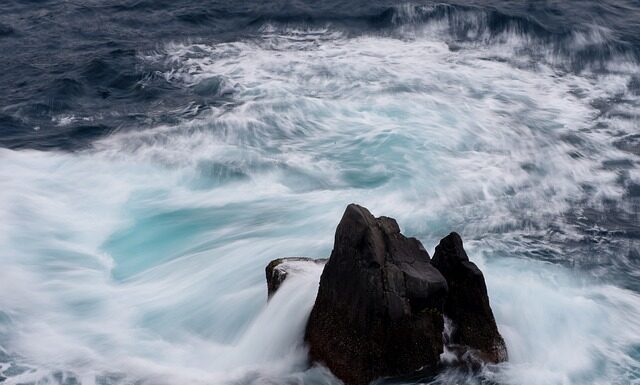 Jaka cena za biały montaż?