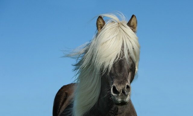 Ile koni ma 2JZ-GTE?