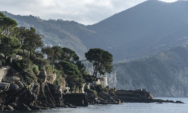 Ile kosztuje kurs na bobcata?