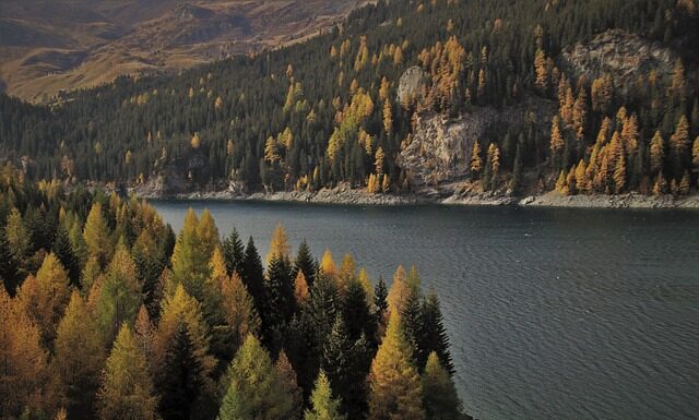 Jakie wymiary ma tafla lustra?