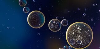 Ile kosztuje wymiana oleju Audi A5?