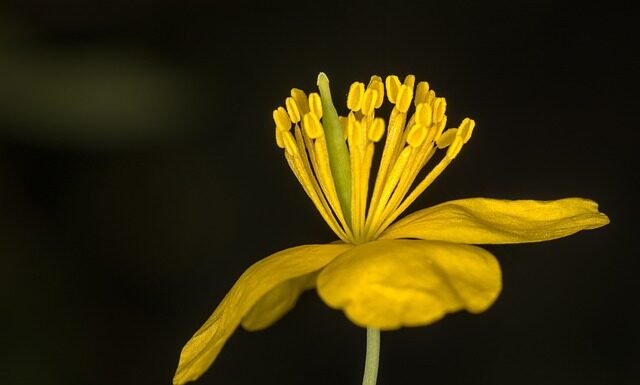 Czy A5 jest większy od B5?